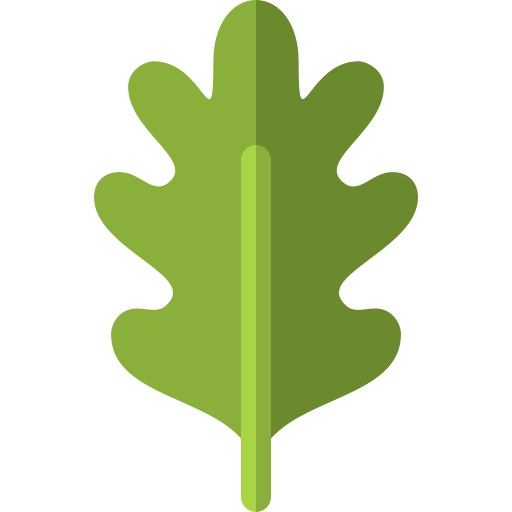 Arugula Basic Rounded Flat icon