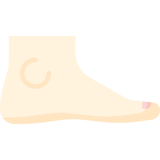 pieds Special Flat Icône