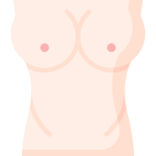 Breast Special Flat icon