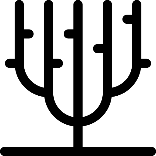 산호 Basic Rounded Filled icon