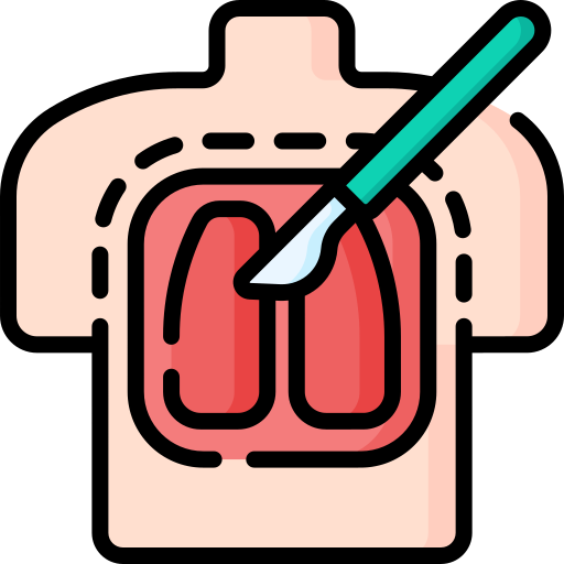 Surgery Special Lineal color icon