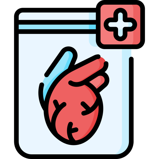 donación de organos Special Lineal color icono