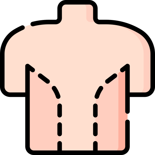 cuerpo Special Lineal color icono