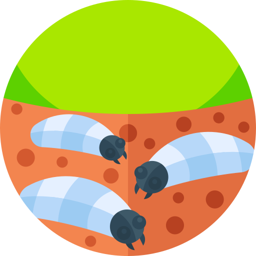 larva Geometric Flat Circular Flat Ícone