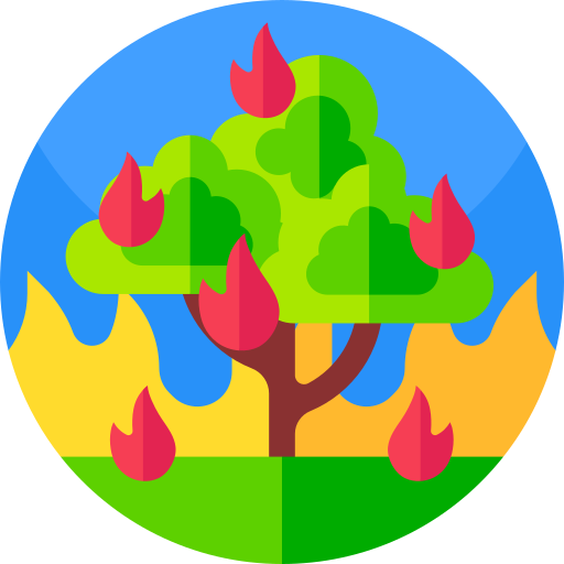 Forest fire Geometric Flat Circular Flat icon