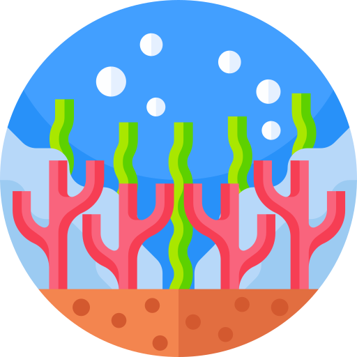 Coral reef Geometric Flat Circular Flat icon