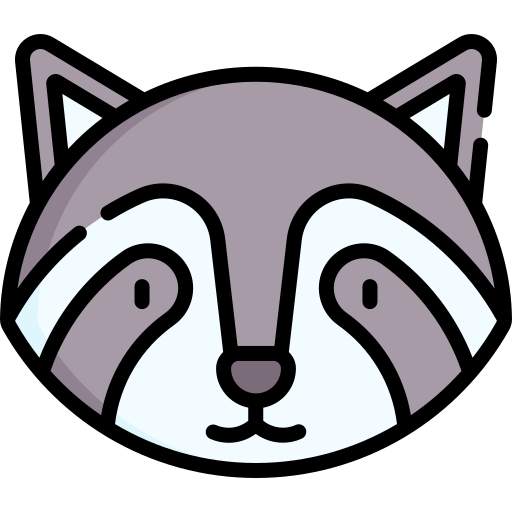 Raccoon Special Lineal color icon