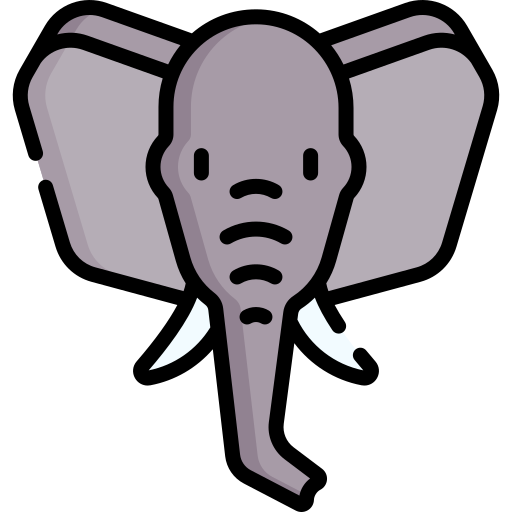 elefant Special Lineal color icon