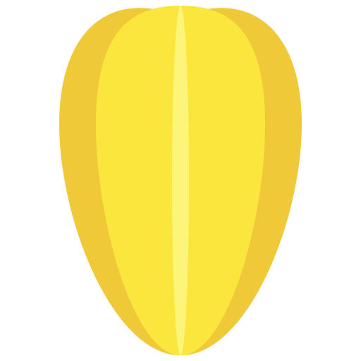 fruta estrella Generic Flat icono