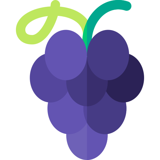 Grape Basic Rounded Flat icon