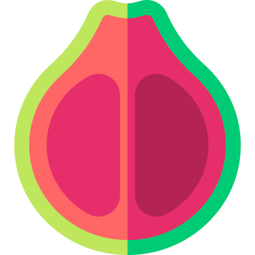 guave Basic Rounded Flat icon