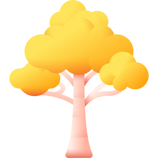자작나무 3D Color icon