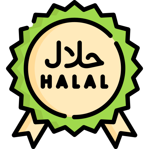 halal Special Lineal color icoon