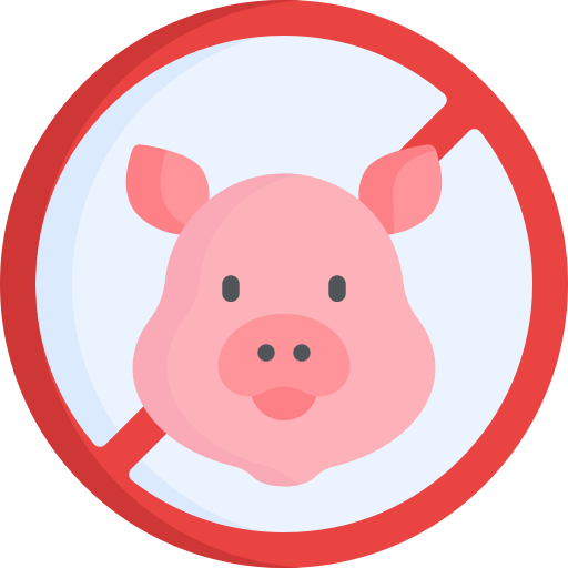 kein schwein Special Flat icon