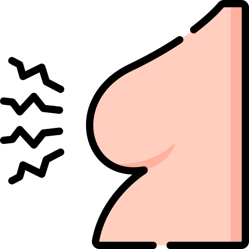 Breast Special Lineal color icon