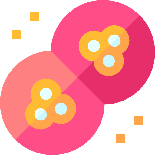 Mother cells Basic Straight Flat icon
