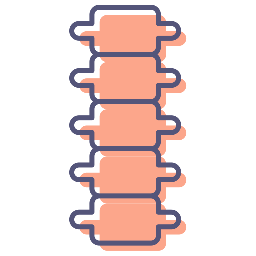 rückenwirbelsäule Generic Rounded Shapes icon