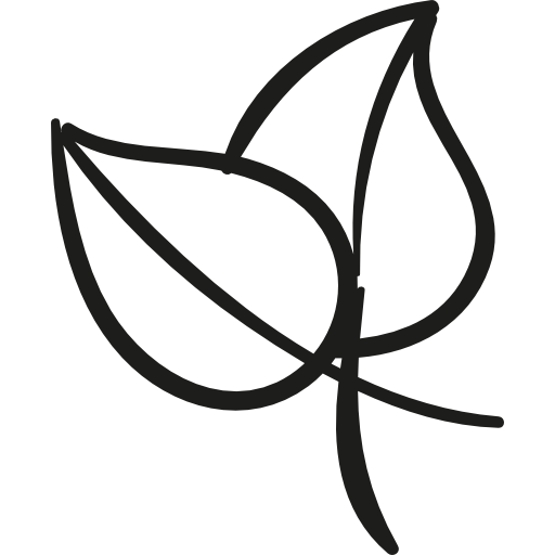 두 식물 잎  icon