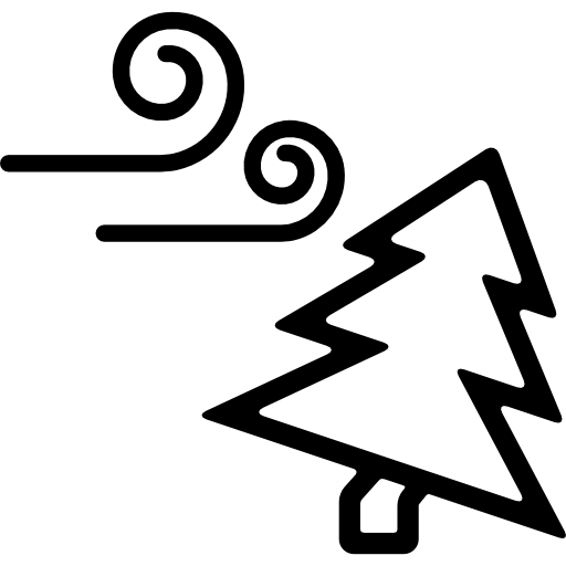 바람과 구부러진 전나무  icon