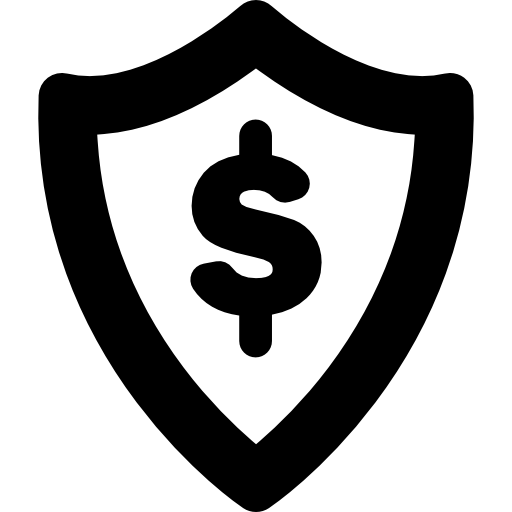 Currency Security  icon