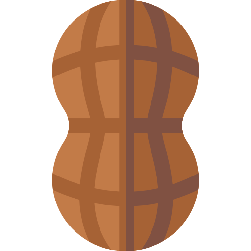 Peanut Basic Straight Flat icon