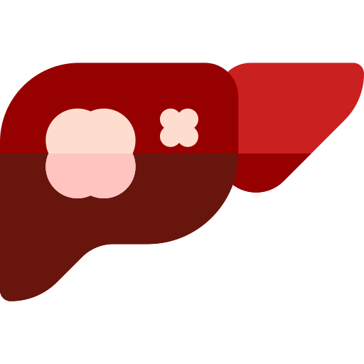 肝臓 Basic Rounded Flat icon