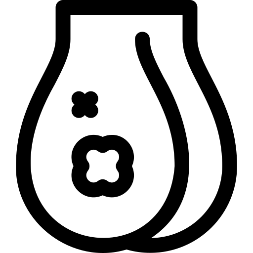 testicule Basic Rounded Lineal Icône