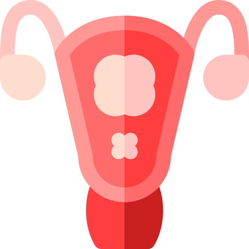 baarmoeder Basic Rounded Flat icoon