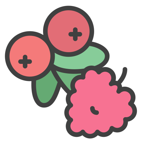 cranberry Generic Outline Color icon