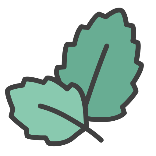 Mint Generic Outline Color icon