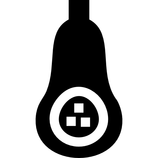 calabaza Basic Straight Filled icono