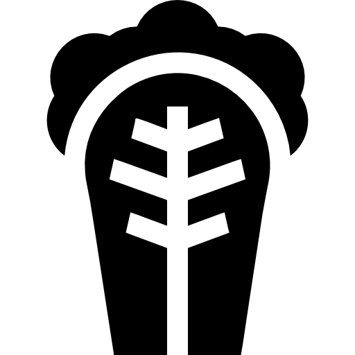 キャベツ Basic Straight Filled icon