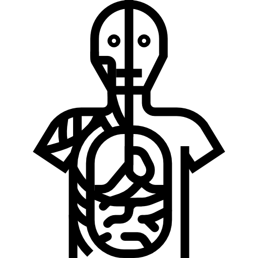 Анатомия Aphiradee (monkik) Lineal иконка