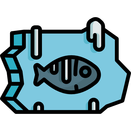 pescado Special Lineal color icono