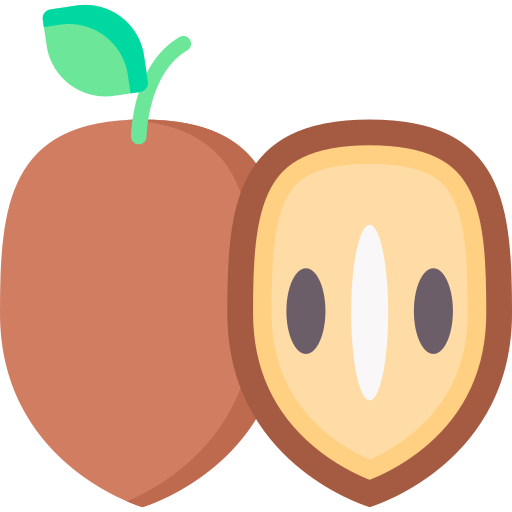 sapodille Special Flat icon