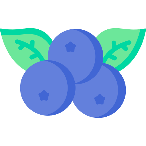 blaubeere Special Flat icon