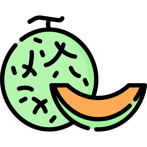 Melon Special Lineal color icon