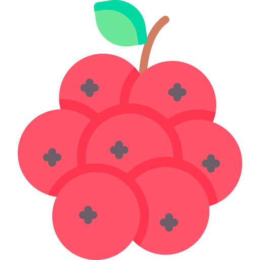 Cranberry Special Flat icon