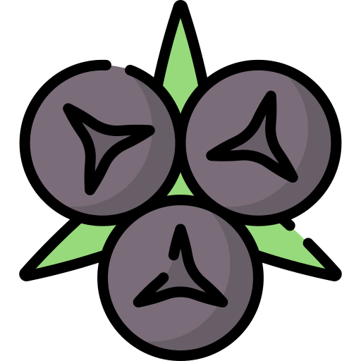 Juniper berry Special Lineal color icon