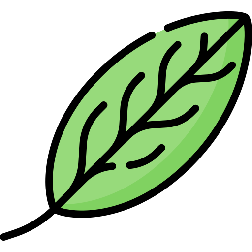 Bayleaf Special Lineal color icon