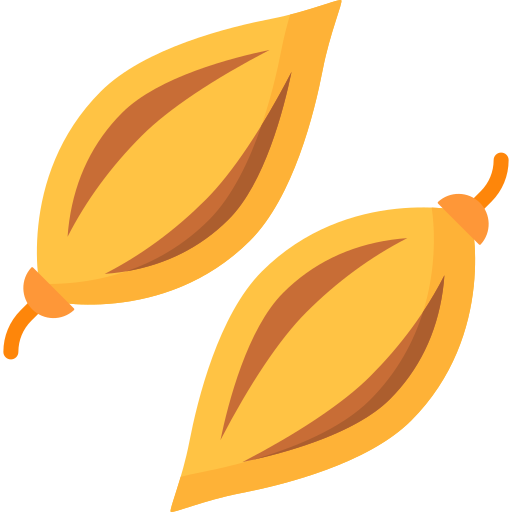 fenchel Special Flat icon