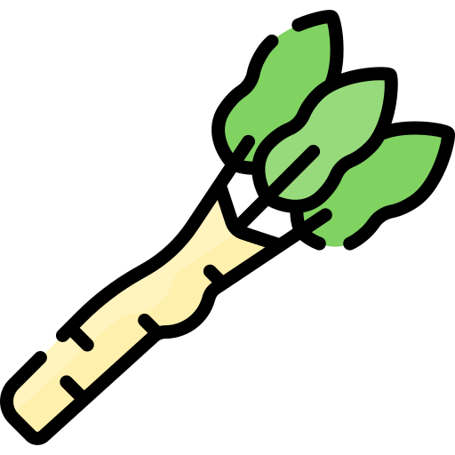 Horseradish Special Lineal color icon