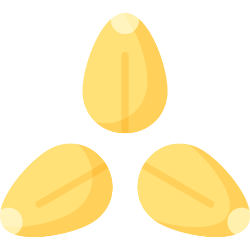 Sesame seeds Special Flat icon