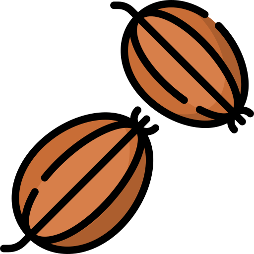 セロリ Special Lineal color icon