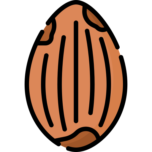 Nutmeg Special Lineal color icon