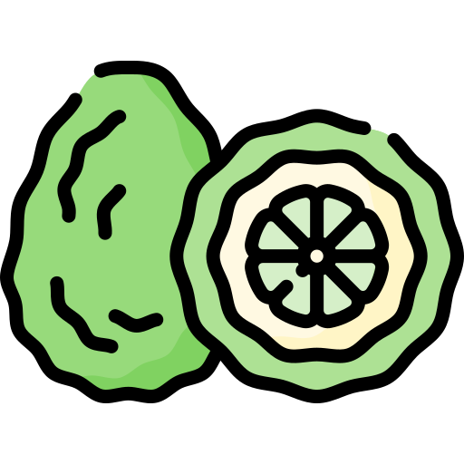 Kaffir lime Special Lineal color icon