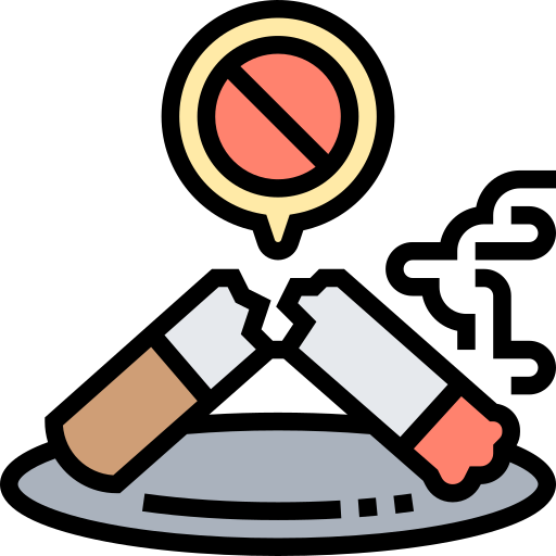 No smoking Meticulous Lineal Color icon