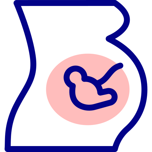 Pregnant Detailed Mixed Lineal color icon