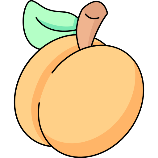 Apricot Generic Thin Outline Color icon
