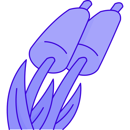 schilf Generic Outline Color icon